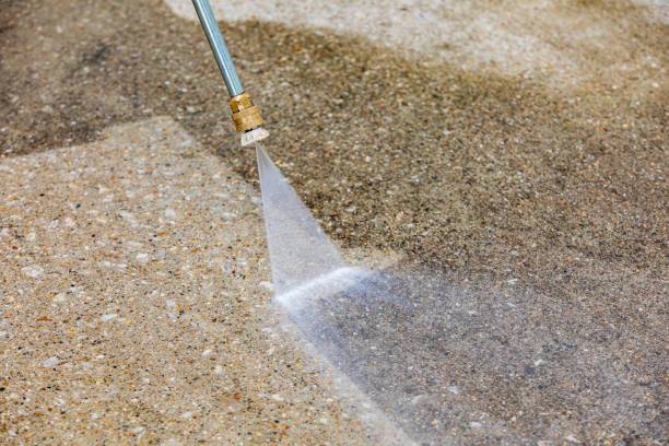 Best Gutter Cleaning  in Plantation, FL