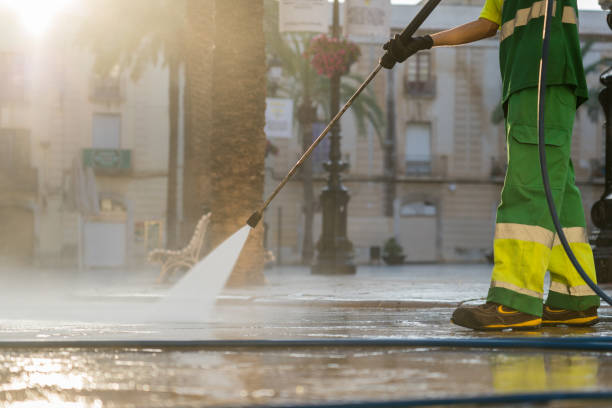 Best Solar Panel Cleaning  in Plantation, FL